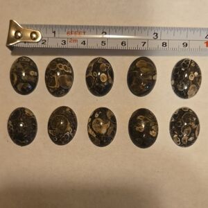 Polished ancient Jasper, ready to make something amazing with you.